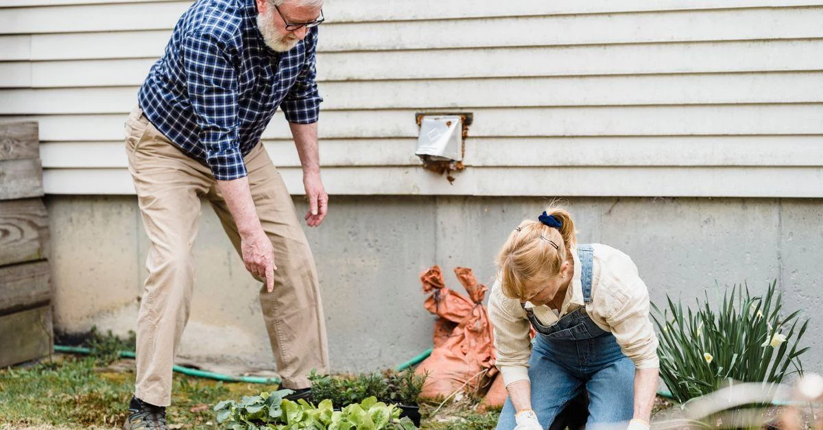 A senior couple enjoying gardening together in their backyard on a sunny day