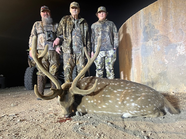 Forest
