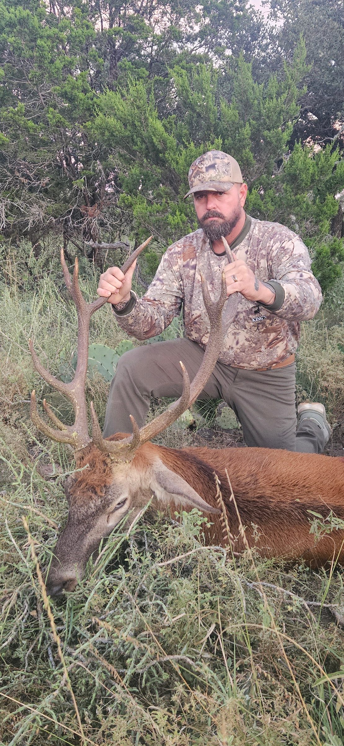 Hunter with a harvested red stag in cedar brush at FF Hunting Ranch